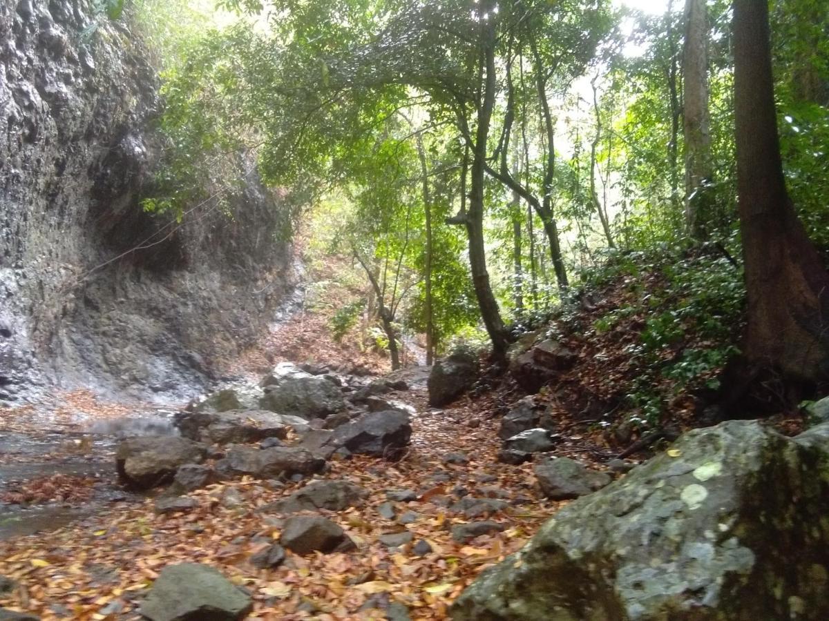 Tammoyo Place Kudat Eksteriør bilde