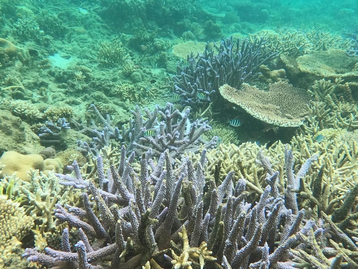 Tammoyo Place Kudat Eksteriør bilde